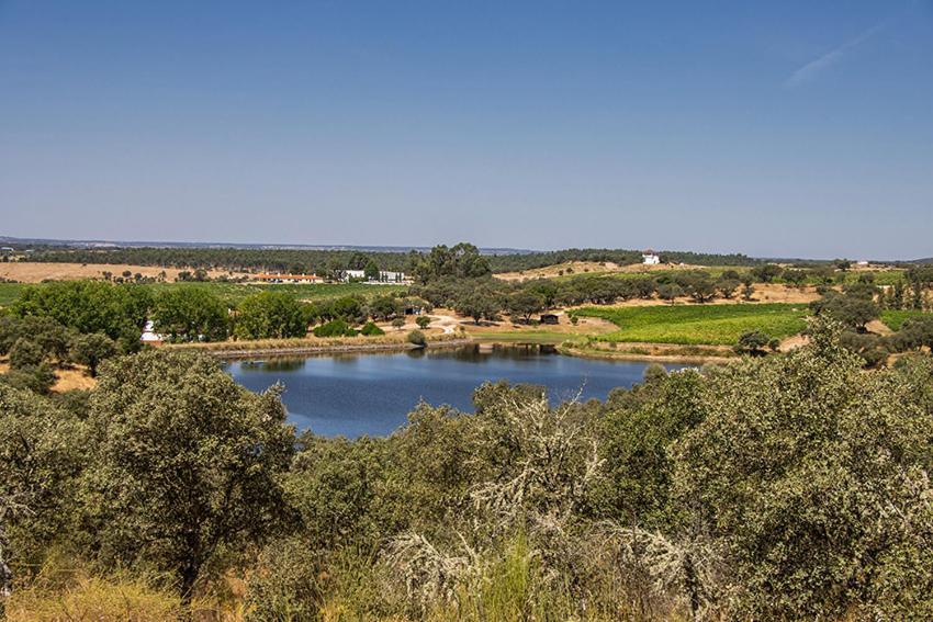 Herdade Do Gamito Crato Εξωτερικό φωτογραφία