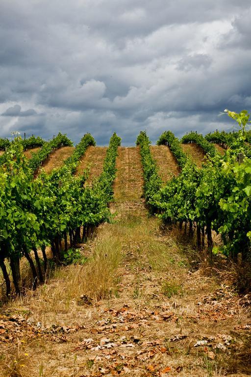 Herdade Do Gamito Βίλα Crato Εξωτερικό φωτογραφία