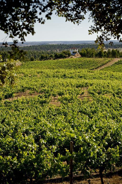 Herdade Do Gamito Crato Εξωτερικό φωτογραφία