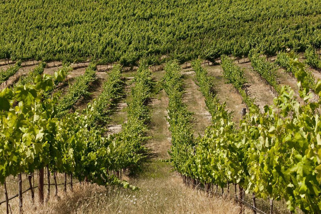 Herdade Do Gamito Crato Εξωτερικό φωτογραφία